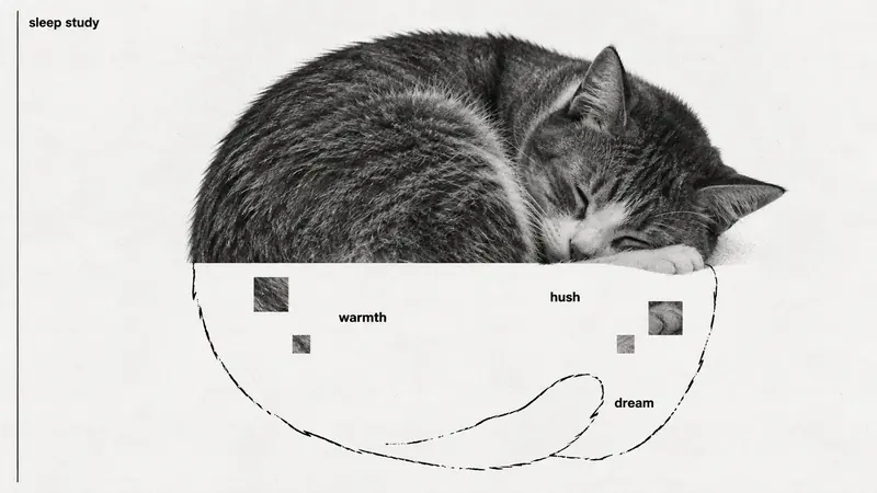 Annotated Absence — example: Sleep Study