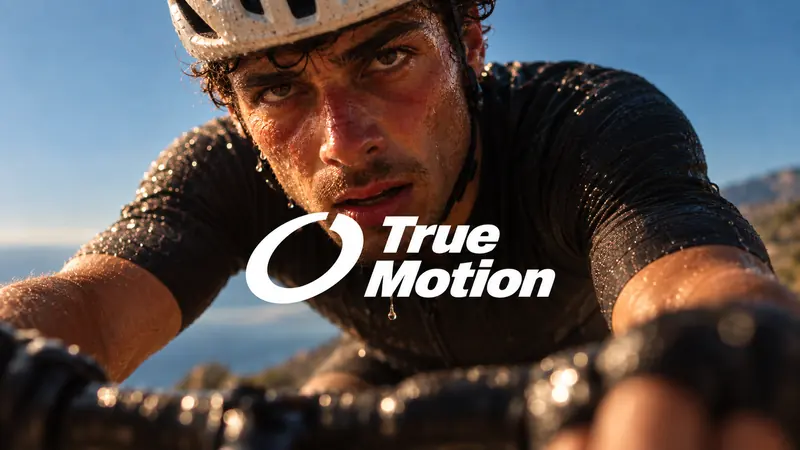 Felt Motion Brand Campaign — example: Signal In The Static